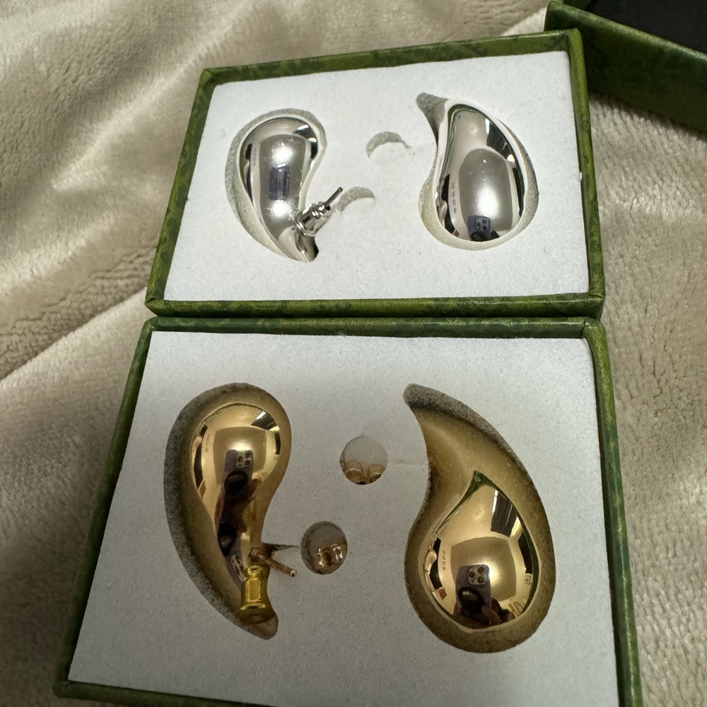 Earrings both gold and silver pair
